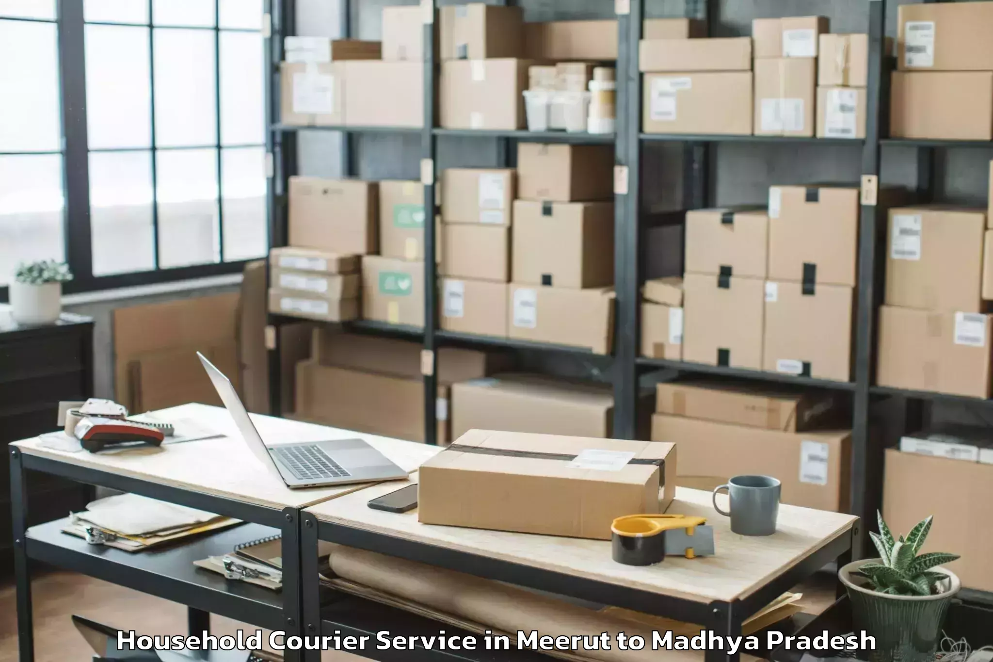 Reliable Meerut to Hoshangabad Household Courier